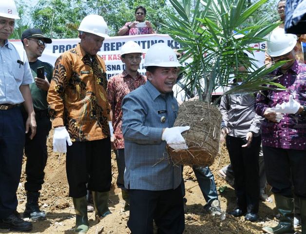 Program Replanting Sawit Kabupaten Merangin Terbanyak di Indonesia