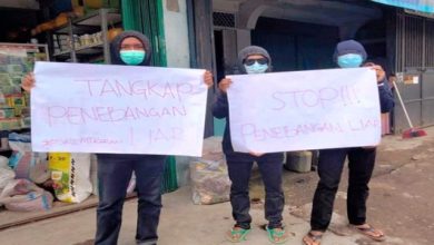 Hutan Gunung Kerinci Semakin Gundul, Aksi Aktivis Peduli Gunung Kerinci