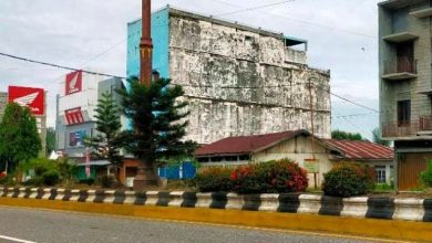 Usaha Sarang Burung Walet 8 Kecamatan Batanghari Beroperasi Tanpa Kantongi Izin Usaha Sarang Burung Walet 8 Kecamatan Batanghari Beroperasi Tanpa Kantongi Izin