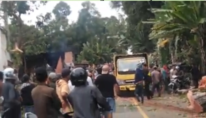 Video Pohon Tumbang di Pengasi Lama Kerinci yang Makan Korban Jiwa