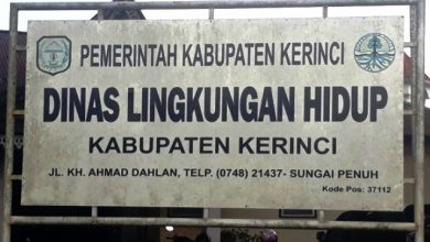 Tetap Bekerja Seperti Biasa Walaupun 4 Bulan Gaji Belum Dibayar