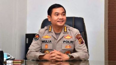 Ini Surat yang Harus Dilengkapi Pemudik yang Melintas di Jambi