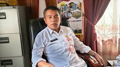 Info CPNS dan PPPK Kabupaten Merangin