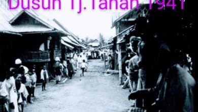 Haruskah Sejarah Kelembagaan Adat di Bumi Sakti Selunjur Alam Kerinci Dikontruksi Ulang