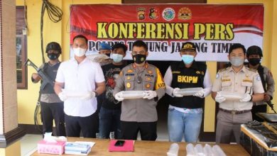 Penyelundupan 58.072 Ekor Benih Lobster Digagalkan Aparat Penyelundupan 58.072 Ekor Benih Lobster Digagalkan Aparat