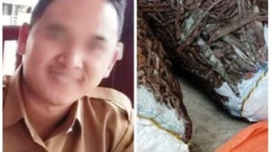 Pak Kadri Menjadi Korban Penipuan Penjualan Kulit Manis di Kerinci Pak Kadri Menjadi Korban Penipuan Penjualan Kulit Manis di Kerinci