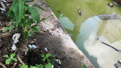 Naas!!! Dua Anak Tewas Tenggelam di Kolam Septic Tank