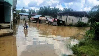 Rumah Warga Desa Rantau Limau Manis Dilanda Banjir