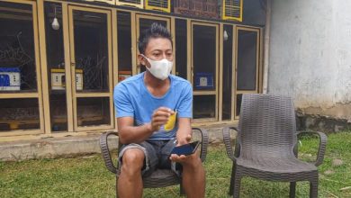 Viral!!! Burung Merpati Milik Warga Pekalongan Dijual Rp 1,5 Miliar