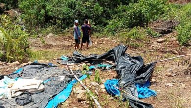 Kronologis dan Keterangan BKSDA Terkait Warga Merangin Tewas Diterkam Harimau