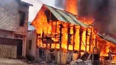 Sijago Merah Lalap Dua Rumah di Siulak Sijago Merah Lalap Dua Rumah di Siulak
