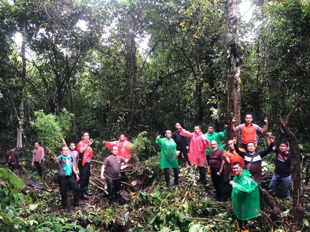 Lagi! Ladang Ganja Ditemukan di Kerinci