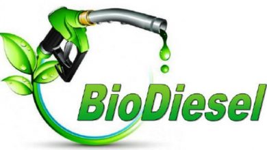 Minyak Goreng Langka, Ternyata Ini Biang Keroknya Minyak Goreng Langka, Ternyata Ini Biang Keroknya