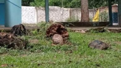 Menilik Jejak Jalinan Kerajaan Dharmasraya dan Kampung Tua Tanjung Tanah