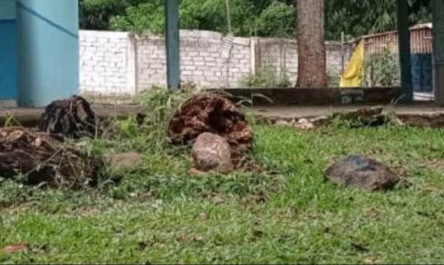 Menilik Jejak Jalinan Kerajaan Dharmasraya dan Kampung Tua Tanjung Tanah