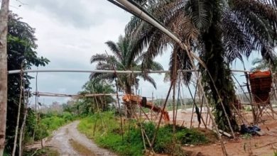 PETI Tambang Baru Merangin Memakan Korban