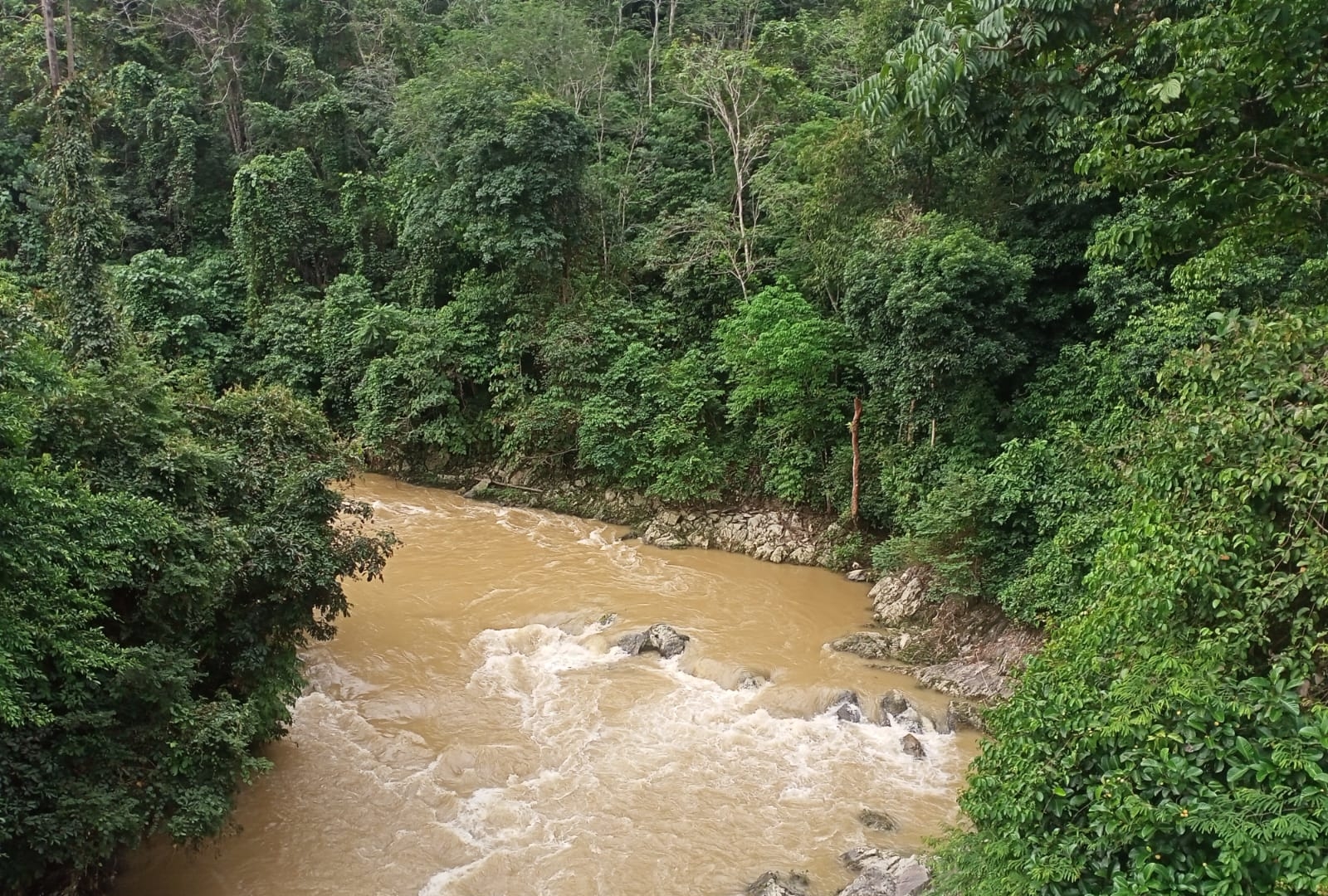 Terpantau Air Sungai di Penetai Kerinci Keruh Pekat