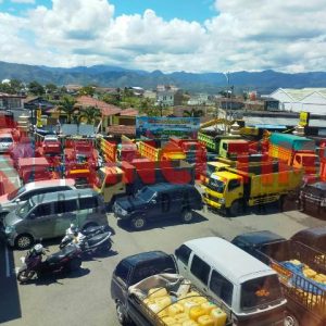 Pencuri Kulit Manis Resahkan Warga Tanjung Pauh – Kerinci Time