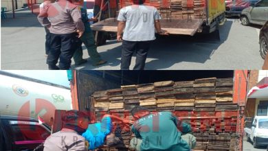 2 Pelaku Ilegal Logging di Perbatasan Sungai Penuh - Tapan Diciduk Polisi 2 Pelaku Ilegal Logging di Perbatasan Sungai Penuh - Tapan Diciduk Polisi