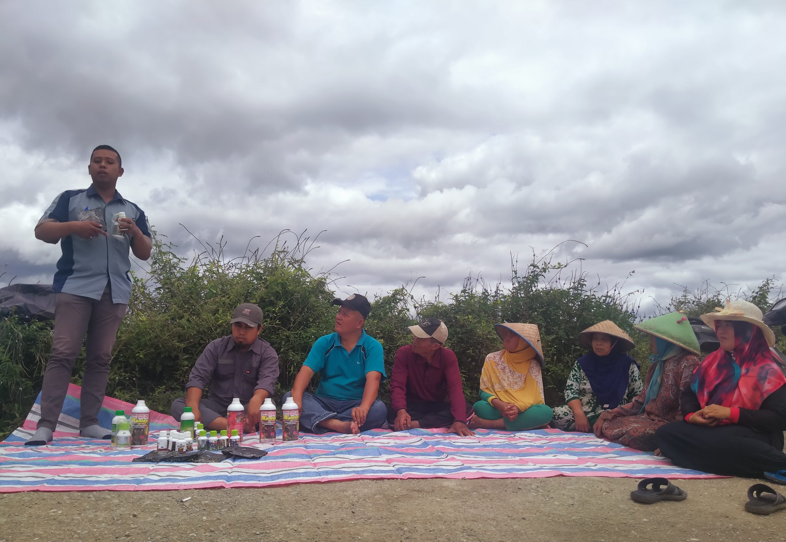 Ternyata Obat Mantep Ampuh Usir Hama Tikus