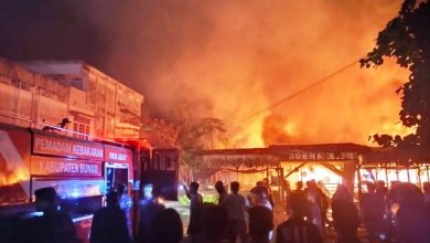 Saoenk Kito Muarabungo Dilalap Sijago Merah Saoenk Kito Muarabungo Dilalap Sijago Merah