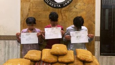 25 Kg Ganja dan Tiga Pengedar Diamankan Aparat 25 Kg Ganja dan Tiga Pengedar Diamankan Aparat