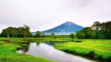 Pesona Rawa Bento di Bumi Sakti Alam Kerinci