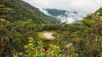 Gunung Kunyit Kerinci, Panorama Keindahan Alam yang Berbalut Cerita Mistis
