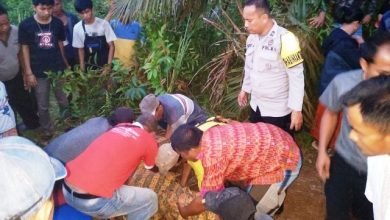 Heboh Penemuan Jenazah Gadis Remaja di Sarolangun Heboh Penemuan Jenazah Gadis Remaja di Sarolangun