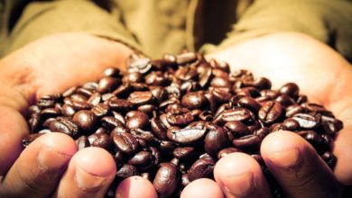 Sejarah Kopi Indonesia yang Kian Mendunia