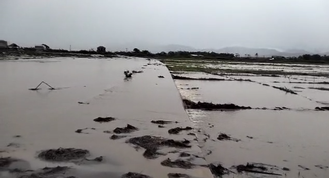 Kerinci dan Sungai Penuh Dihantam Banjir