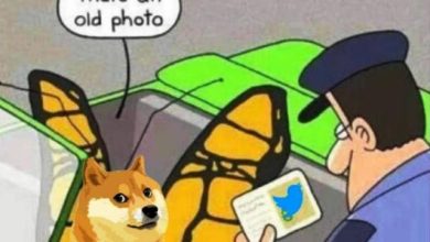 Logo Burung Biru Twitter Berubah Jadi Anjing Picu Banyak Komentar Logo Burung Biru Twitter Berubah Jadi Anjing Picu Banyak Komentar