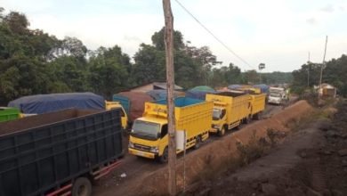 Angkutan Batu Bara Terus Langgar Aturan, Kementerian ESDM Diminta Sanksi Tegas Perusahaan