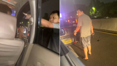 Viral! Video Aksi Sopir Koboi Teteng Piltol dan Pukul Pengendara