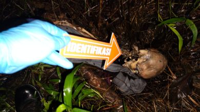 Ditemukan Tengkorak Manusia di Renah Pemetik Kerinci