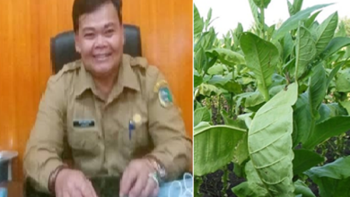 Terendus Penyimpangan Miliaran DBH CHT di Kerinci