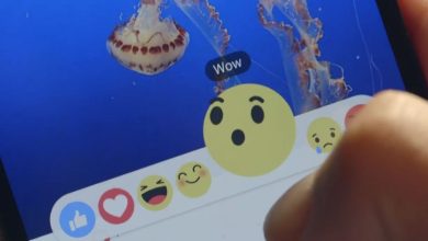 Cuma Gegara Kirim Emoji Jempol Petani di Kanada Didenda Ratusan Juta
