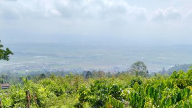 Cuaca Kerinci - Sungai Penuh Berkabut, Ini Penjelasan BMKG Cuaca Kerinci - Sungai Penuh Berkabut, Ini Penjelasan BMKG