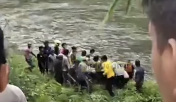 Diserang Tawon, Warga Kerinci Meninggal