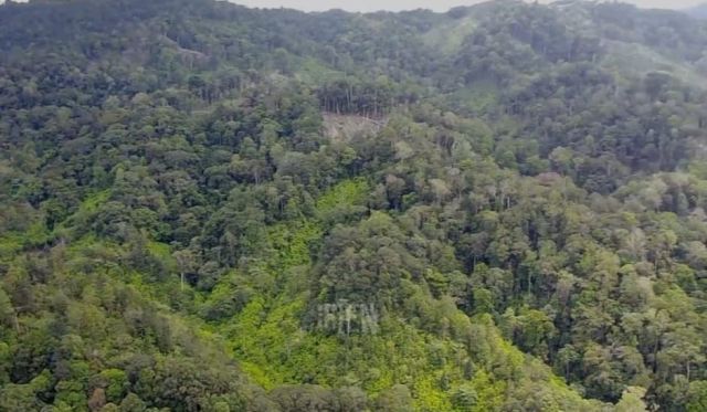 Bokep Di Perkosa Di Hutan - Semakin Parah Pembalakan Liar di Hutan TNKS â€“ Kerinci Time