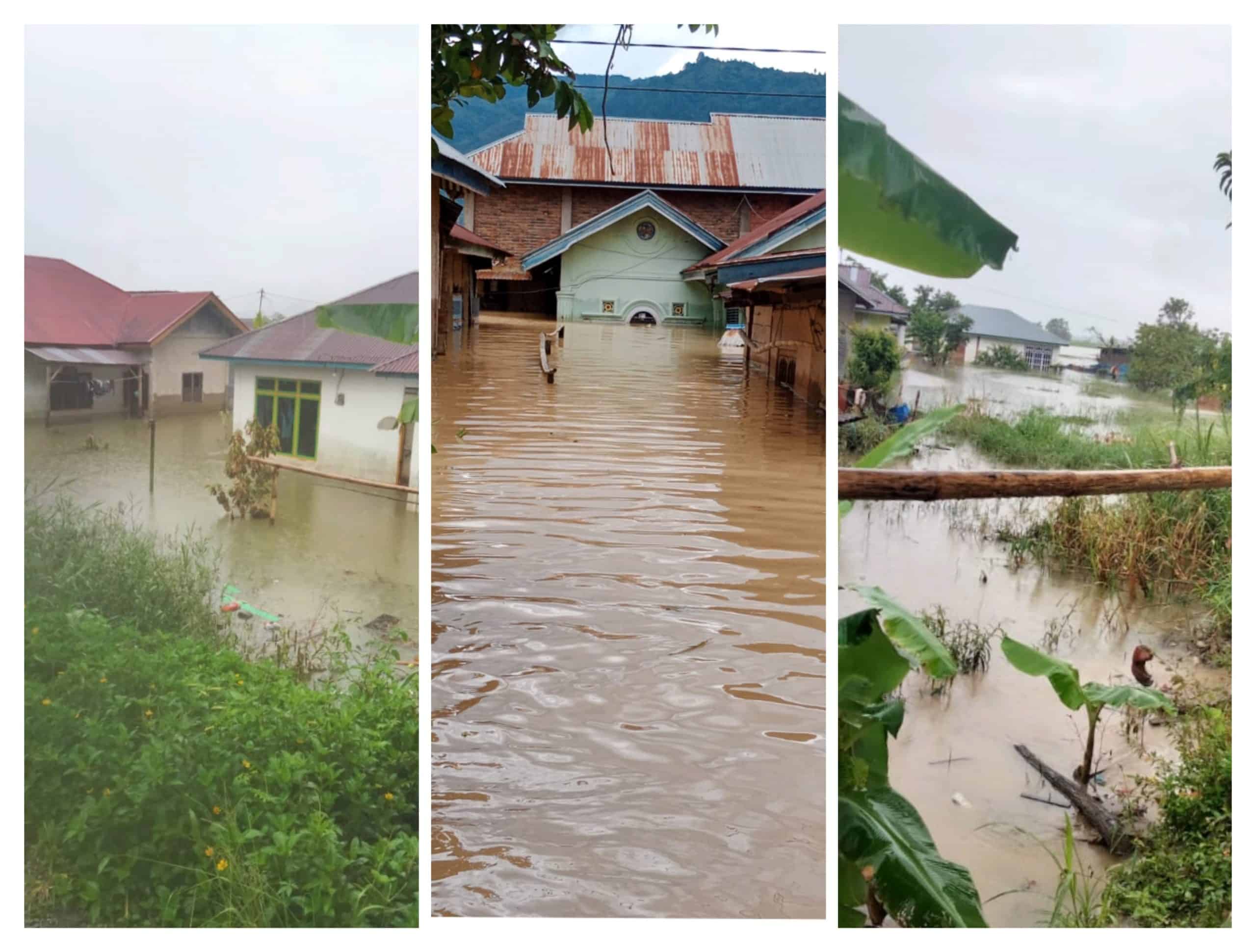 Korban Banjir Desa Tanjung Mudo Perlu Perhatian Serius