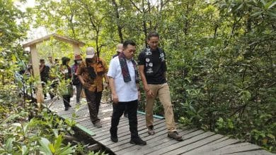 Sandiaga Uno Bersama Gubernur Al Haris Wisata Mangrove-Berburu Takjil di Tungkal Sandiaga Uno Bersama Gubernur Al Haris Wisata Mangrove-Berburu Takjil di Tungkal