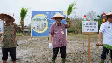 Abdullah Sani Apresiasi SLI Operasional: Bantu Petani dengan Ilmu Pengetahuan Abdullah Sani Apresiasi SLI Operasional: Bantu Petani dengan Ilmu Pengetahuan