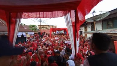 Lautan Manusia Meriahkan Kampanye dan Blusukan AZ-FER di Lima Koto