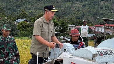 Kerinci Targetkan Lumbung Padi Jambi