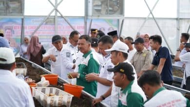 Wujudkan Kerinci Mandiri Benih Kentang