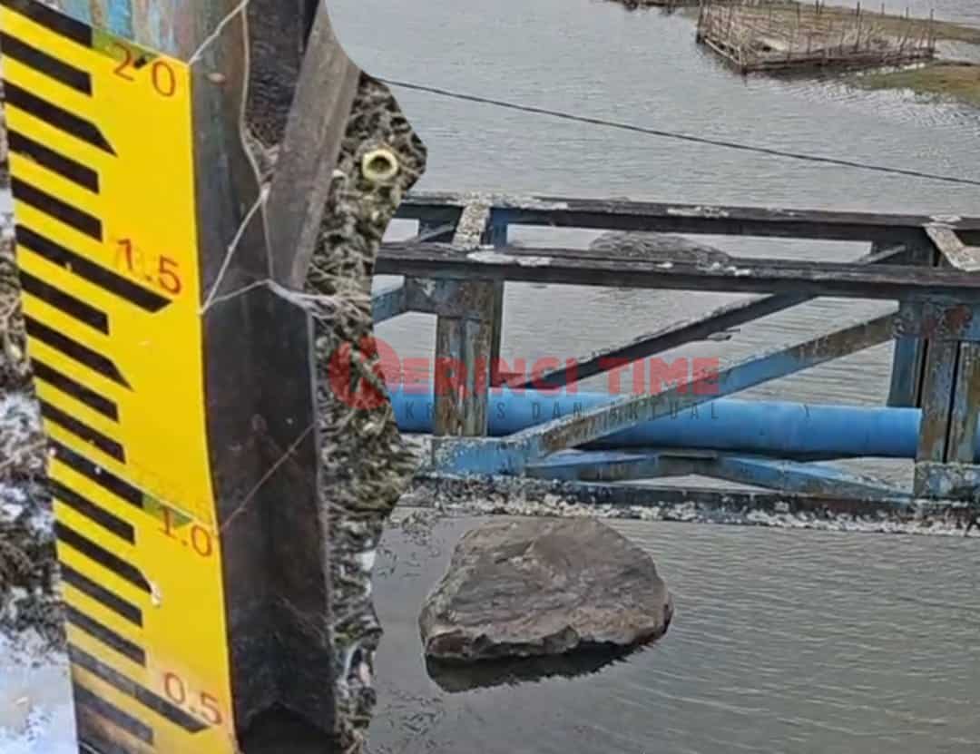 Fenomena Langka! Danau Kerinci Menyusut Drastis Fenomena Langka! Danau Kerinci Menyusut Drastis