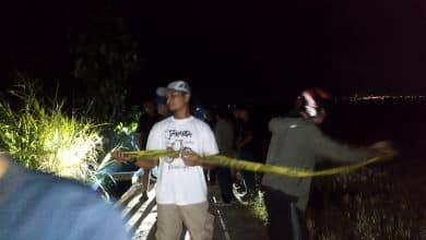 Percintaan Berujung Maut Percintaan Berujung Maut