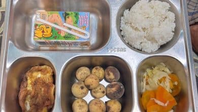 Dapur MBG Kabupaten Kerinci Disorot, Diduga Sajikan Susu Berperisa dan Buah Tak Layak Konsumsi