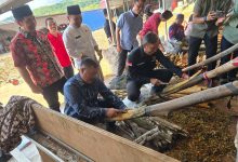 Kulit Manis Komoditi Unggulan Kerinci
